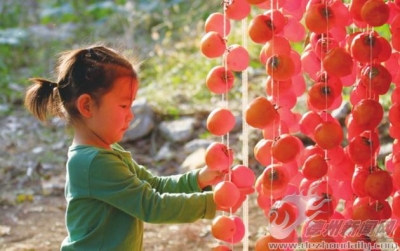 散文｜王爱静：秋柿