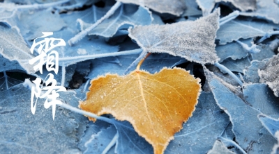 诗｜郭仲凤：七律  ·  霜降