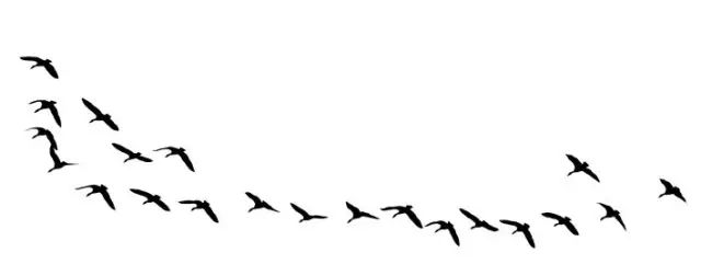 诗｜康丙云：雁归图二首