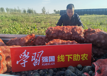 乐陵寨头堡乡：“学习强国”进田间 科技助农暖心间