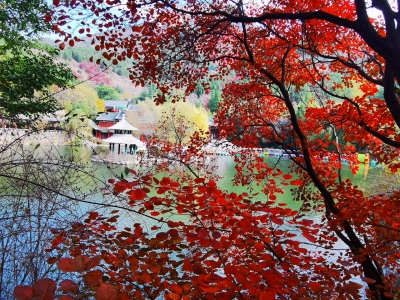 诗｜赵立章：红叶谷