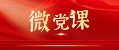 党校红课堂 奋进新时代 | 德城区多所小学共上红色微党课