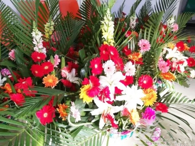 散文｜康丙云：那天，她做了母亲