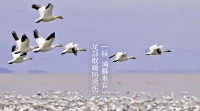 诗｜张学丰：七绝 • 寒露（外二首）