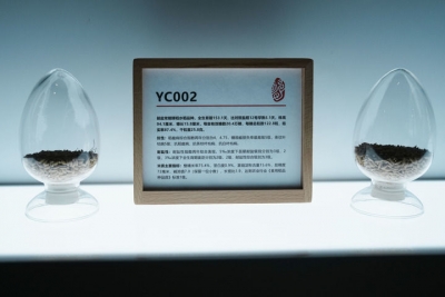 新华全媒+ | 盐碱地上的丰收密码