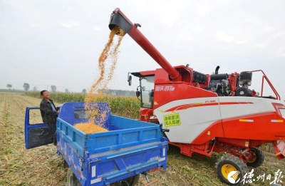 诗｜李云付：晚秋