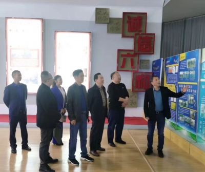 诚信文化主题系列电影主创团队赴德州六和电力调研采风