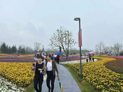 营业收入2685.73万元！国庆德州36家景区纳客65.07万人次