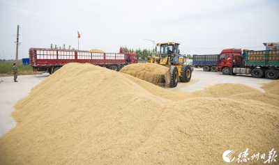 诗词｜陆永先：喜迎二十大（外一首）