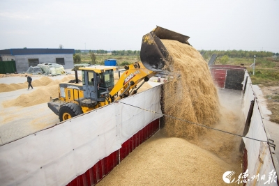 诗｜王淑芬：欢庆二十大召开（外一首）