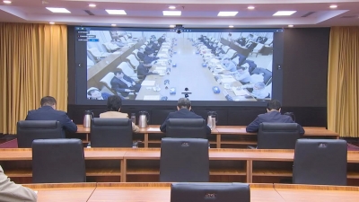 中国农科院在德州设立小麦产业专家工作站