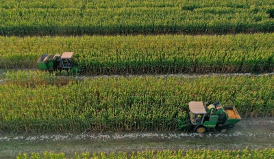 秋雨感怀 | 于春峰