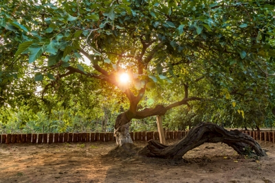 五律（一） |  德州籍著名诗人李葆国诗词选