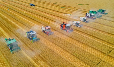 非凡十年：德州画卷