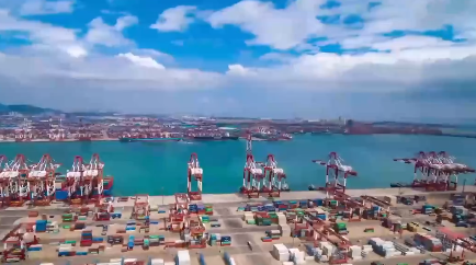 这个码头一个工人也没有