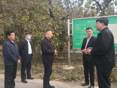 彭小毛到夏津黄河故道生态片区开展巡林巡查工作