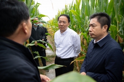 德州市委副书记、市长朱开国到齐河调研时强调 做好降雨防范 保障三秋生产