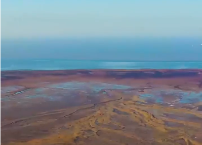 来自黄河三角洲的回响｜请总书记放心