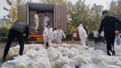 100吨！山东黑马集团捐赠蔬菜助力疫情防控