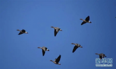 诗｜于春峰：蜀友书至感怀