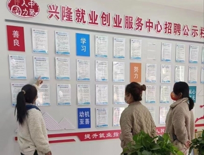 临邑系统推进零工市场建设 助力劳动者灵活就业