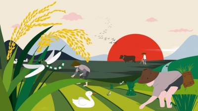 德州首批“五星德粮”  粮油区域公用品牌授权企业公布 29家企业入选