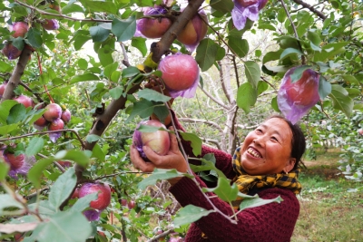 他山之玉 ·  扬州诗词｜韩春艳：观水（外二首）