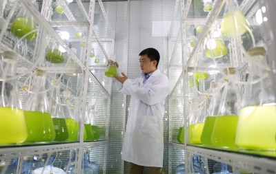 山东首个藻类活性细胞生物肥项目落户乐陵