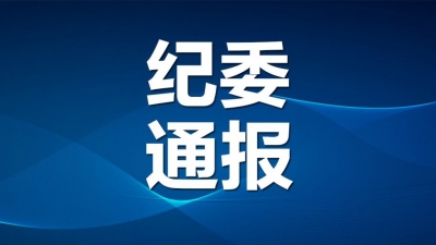 德州市纪委通报！