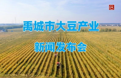 直播预告 | 禹城市大豆产业新闻发布会