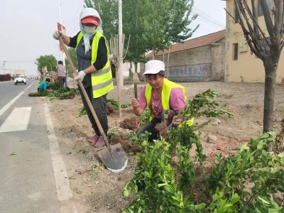 乐陵黄夹镇：聚焦为民实事  助推乡村振兴