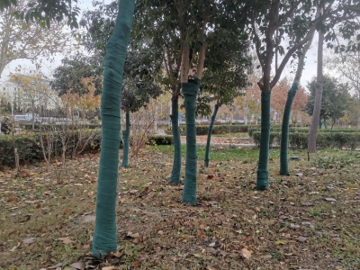 德州园林：全力做好强寒潮天气防范应对工作