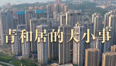 跟着总书记看中国｜青和居的大小事