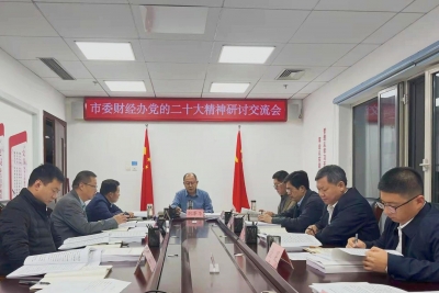市委财经办召开党的二十大精神研讨交流会