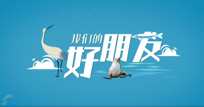 “谐音梗”连篇，原来你是这样的斑海豹 #烟台 #长岛 #斑海豹