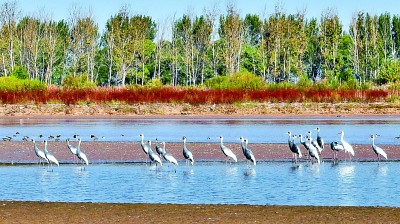 五律（五） |  德州籍著名诗人李葆国诗词选