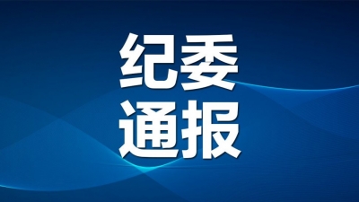 刚刚！德州市纪委通报