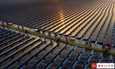 德州首次，德报首个！德报周坤、刘振兴摄影作品获评第32届中国新闻奖三等奖