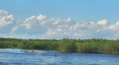 五律（四） |  德州籍著名诗人李葆国诗词选