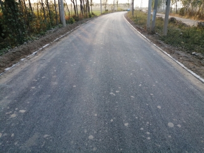 陵城区宋家镇：11公里乡村公路换新颜 人居环境大改善