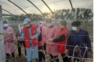 乐陵花园镇：农业技能培训进田间