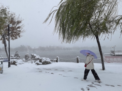 诗词｜谭晓红：立冬（外一首）