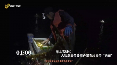 戳视频，看长岛24小时 从第一缕晨曦照耀海豹礁到最后一抹余晖掠过万鸟岛