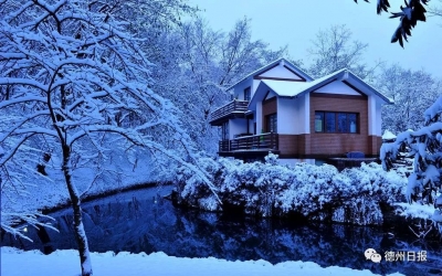 德州启动气象灾害(寒潮)Ⅲ级应急响应！点击查看防寒潮指南→