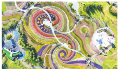 乘势而上谋发展 聚焦项目创未来 | 天衢新区在建重点项目建设巡礼②