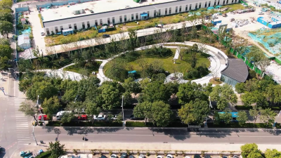 【创城看变化】德城区建成12个口袋公园 | 推窗见绿 出门入园