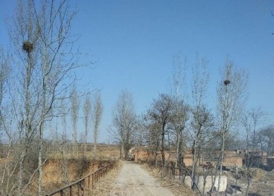 散文 | 木夕: 乡愁悠悠