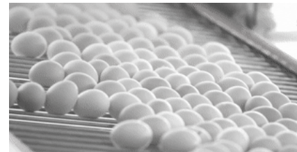 散文 | 别翠清：一枚鸡蛋说变化