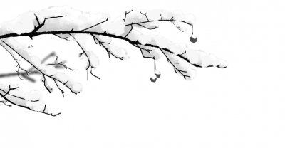 今周末 | 去年立冬种小麦（外三篇）