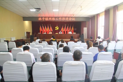 临邑：深耕网格化治理 提升基层社会治理效能